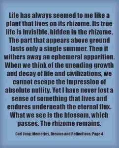 012 Carl Jung Quotations 56 04c22 lewis2blafontaine2b 2bcarl2bjung2bdepth2bpsychology2bbook2bformat page8140 image2604
