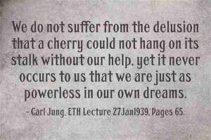011 Carl Jung Quotations 46 422ad lewis2blafontaine2b 2bcarl2bjung2bdepth2bpsychology2bbook2bformat page8140 image4301