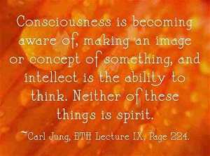 009 Carl Jung Quotations 47 52328 lewis2blafontaine2b 2bcarl2bjung2bdepth2bpsychology2bbook2bformat page8140 image4361