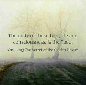 Carl Jung Great Quotations 124 54362 lewis2blafontaine2b 2bcarl2bjung2bdepth2bpsychology2bbook2bformat page8140 image2178
