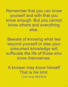 012 Carl Jung Quotations 25 59a42 lewis2blafontaine2b 2bcarl2bjung2bdepth2bpsychology2bbook2bformat page8140 image2572