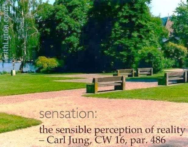 sensation types