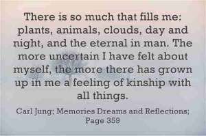 Carl Jung Great Quotations 126 8931d lewis2blafontaine2b 2bcarl2bjung2bdepth2bpsychology2bbook2bformat page8140 image2180