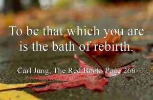 Carl Jung Great Quotations 13 8b455 lewis2blafontaine2b 2bcarl2bjung2bdepth2bpsychology2bbook2bformat page8140 image2025