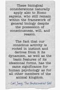 012 Carl Jung Quotations 21 8ca15 lewis2blafontaine2b 2bcarl2bjung2bdepth2bpsychology2bbook2bformat page8140 image2568