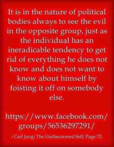 95d09 lewis2blafontaine2b 2bcarl2bjung2bdepth2bpsychology2bbook2bformat page8140 image2738