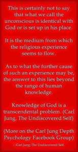 012 Carl Jung Quotations 15 9b298 lewis2blafontaine2b 2bcarl2bjung2bdepth2bpsychology2bbook2bformat page8140 image2562