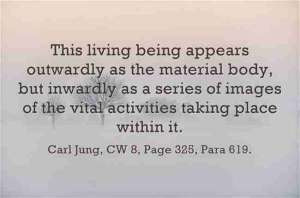 ae045 lewis2blafontaine2b 2bcarl2bjung2bdepth2bpsychology2bbook2bformat page8140 image2762