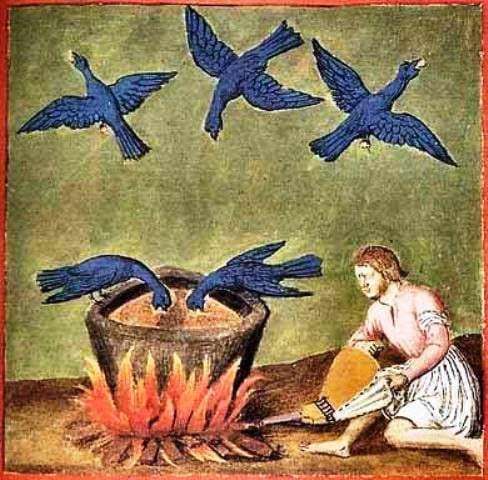 Alchemy birds