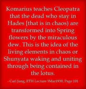 011 Carl Jung Quotations 16 c70c9 lewis2blafontaine2b 2bcarl2bjung2bdepth2bpsychology2bbook2bformat page8140 image4270