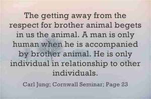 Carl Jung Great Quotations 27 ce239 lewis2blafontaine2b 2bcarl2bjung2bdepth2bpsychology2bbook2bformat page8140 image2078