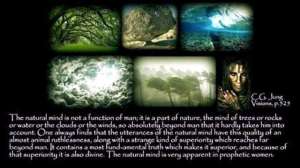 Carl Jung: The union of the male and female in this figure 1 ce2b5 12bmind2bof2bnature