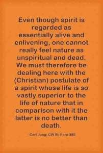 Carl Jung Quotations 7 5 e3808 lewis2blafontaine2b 2bcarl2bjung2bdepth2bpsychology2bbook2bformat page8140 image2402