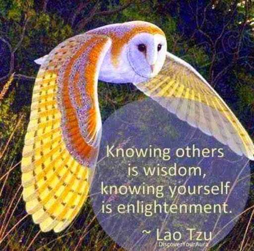 wisdom psychology analytical