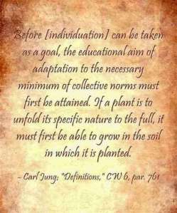 Carl Jung Quotations 5 4 lewis2blafontaine2b 2bcarl2bjung2bdepth2bpsychology2bbook2bformat page8140 image2195