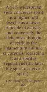 Carl Jung Quotations 5 15 lewis2blafontaine2b 2bcarl2bjung2bdepth2bpsychology2bbook2bformat page8140 image2206