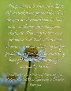 Carl Jung Quotations 5 41 lewis2blafontaine2b 2bcarl2bjung2bdepth2bpsychology2bbook2bformat page8140 image2234