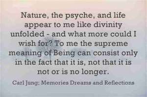 Carl Jung Quotations 5 56 lewis2blafontaine2b 2bcarl2bjung2bdepth2bpsychology2bbook2bformat page8140 image2249