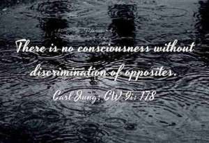 Carl Jung Quotations 5 59 lewis2blafontaine2b 2bcarl2bjung2bdepth2bpsychology2bbook2bformat page8140 image2252