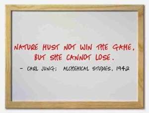 Carl Jung Quotations 5 83 lewis2blafontaine2b 2bcarl2bjung2bdepth2bpsychology2bbook2bformat page8140 image2286