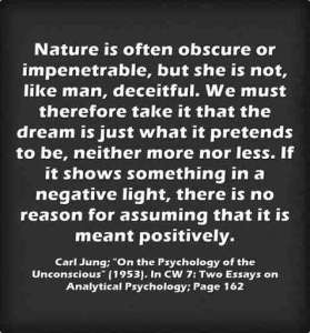lewis2blafontaine2b 2bcarl2bjung2bdepth2bpsychology2bbook2bformat page8140 image2314