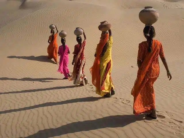 1 desert