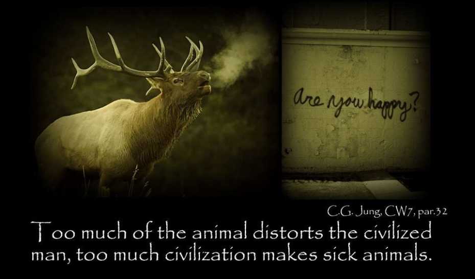 Biological and Psychological Transformation of Instinct. 408 instinct instincts