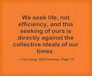 0cc90243d8c43ebc8e81ac09f9ef9f5d