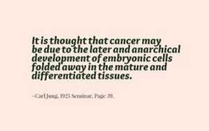 1107e95a05fee2e2d95390bb33e6fd14