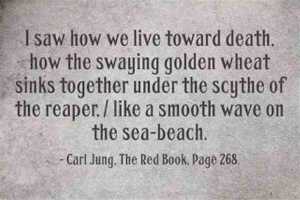 1cd7ddf4ab1eae5bb1ae39d040e810d3