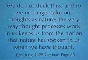 31515c88ef0d0c763a242626dd2bc695