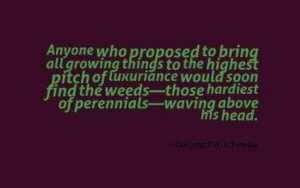 6764e906811baaef9b50ff19e64a6b89