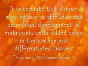 704fb5bfe6a4a8aa59202edf4acec5bc