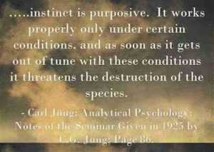 95840cd413863227926010ec2cb63d74