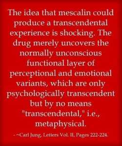 cafd4a255f4278e5edb2ad61ba7b2ab2