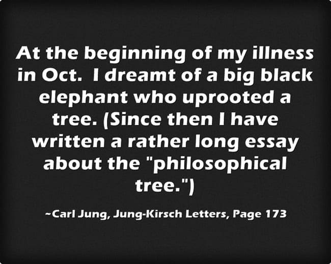 Carl Jung: Something else, too, came to me from my illness. 1 1KIllness