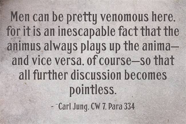 1t animus pointless