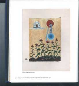 46503558 2531850203521833 3048437000651669504 n