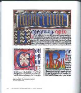 46507379 2533828603323993 540416678085787648 n