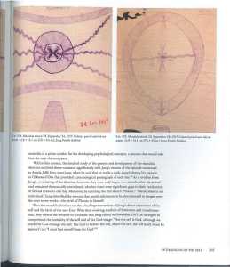 46516926 2533580666682120 8555425680827875328 n