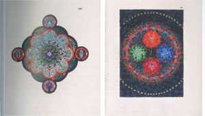 46525438 2531849696855217 4762576367088828416 o