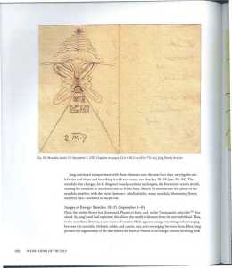 46525921 2533580300015490 5902915168001589248 n