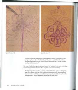 46679516 2533581670015353 2218600326372524032 n