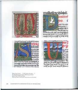 46777665 2533830189990501 8814586060462882816 n