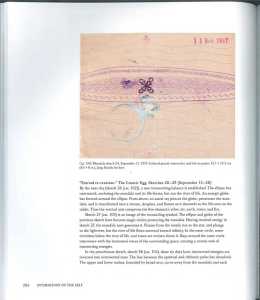 46791002 2533579496682237 4587371285146763264 n