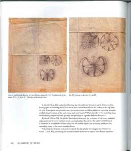 46804811 2533581260015394 8427617714775785472 n