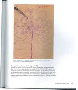 46831099 2533580063348847 6729296850328748032 n