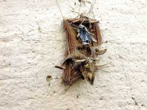 Carl Jung Depth Psychology Trivial Pursuit Questions 45 000 ghost