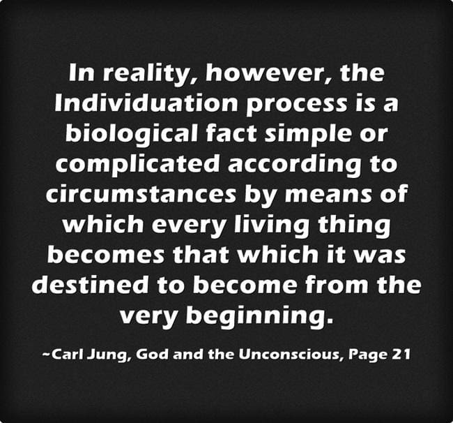 Biology, Mathematics, Synchronicity 5 016 biological