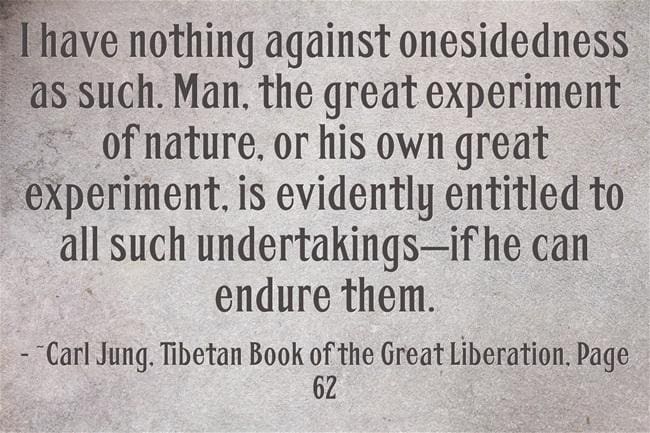 Carl Jung on Endurance. – Anthology 1 030 endure endurance